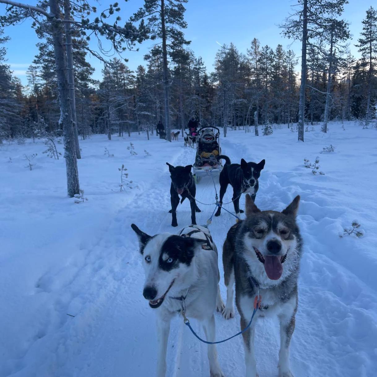 Saeterasen Hytter & Camping Trysil Exterior foto