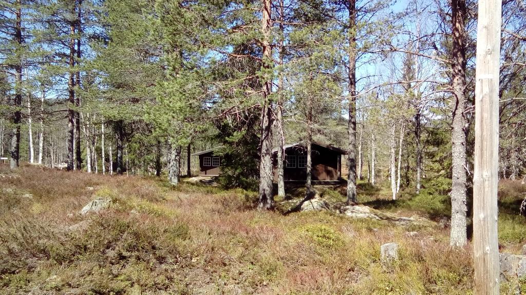 Saeterasen Hytter & Camping Trysil Exterior foto