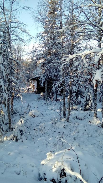 Saeterasen Hytter & Camping Trysil Exterior foto